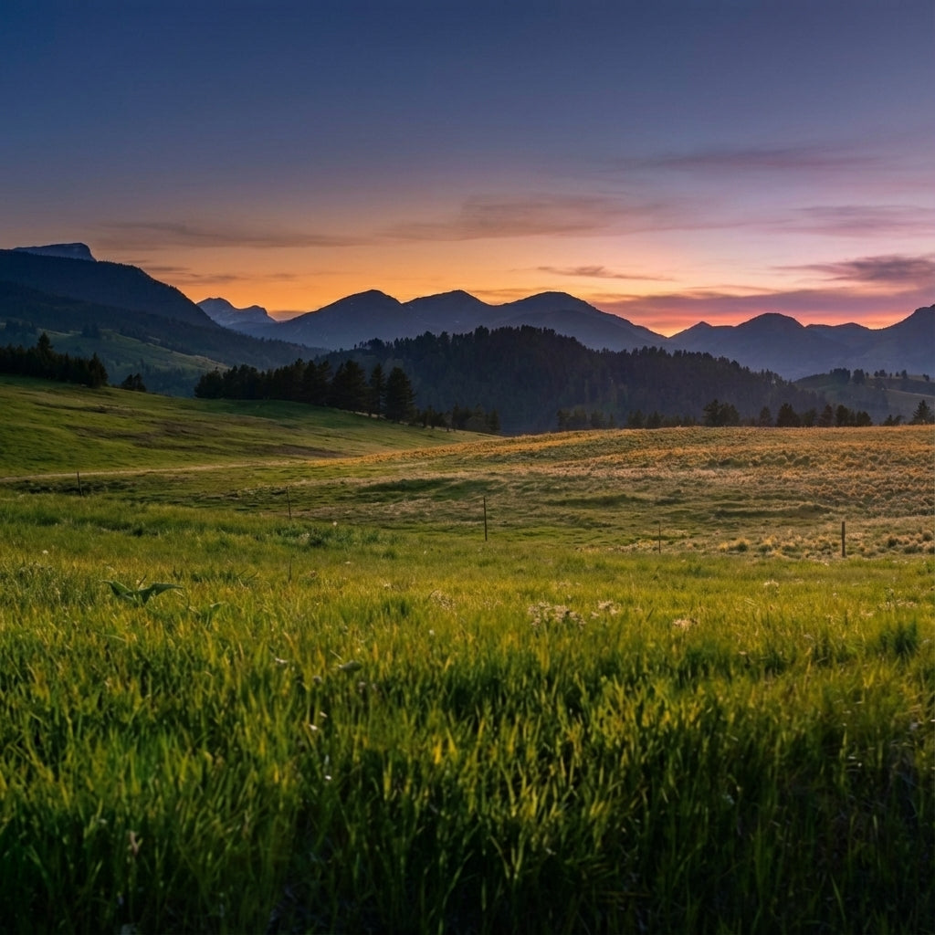 Landscape photo representing suitable truffle-growing terrain