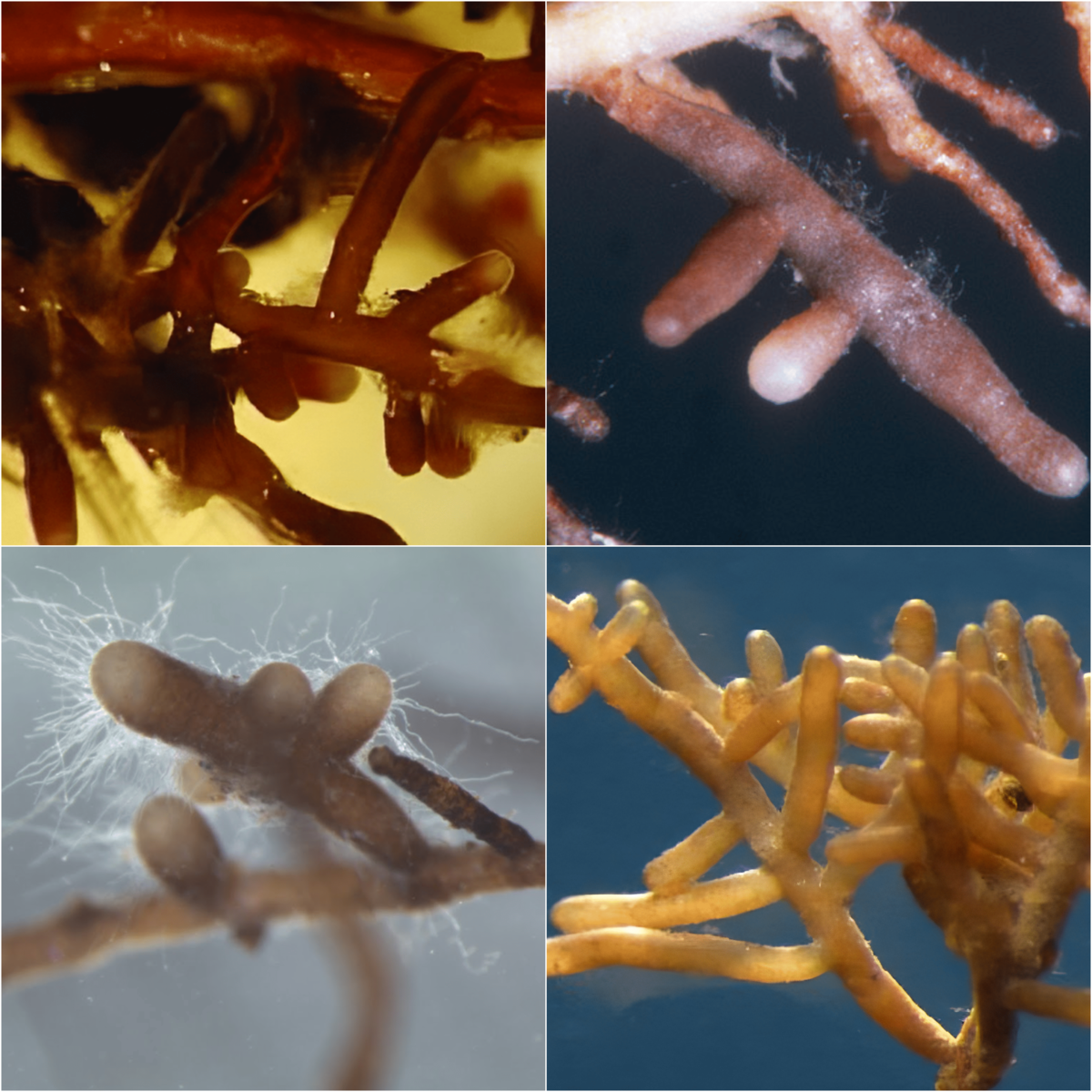 S4_content_f45a9a7f-24a4-4ee4-b879-a0be29b32c42