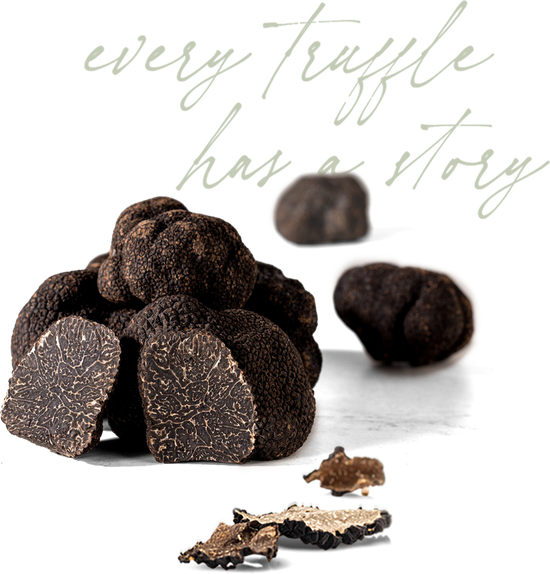 Fresh Autumn Truffle