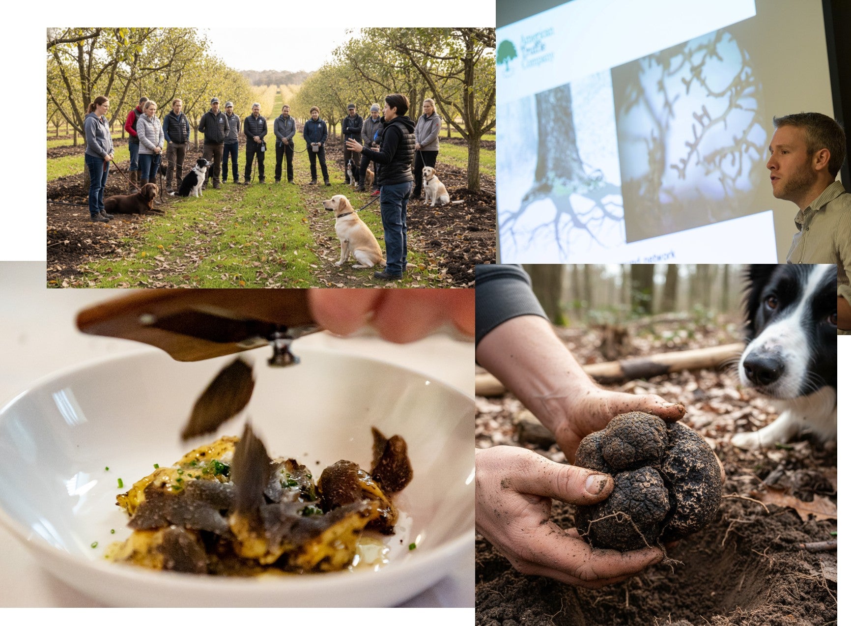 Collage of photos from the Scientific Truffle Grower Seminar at the Napa Truffle Festival