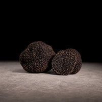Fresh European Périgord black truffle, 100g (Tuber melanosporum) — ATC