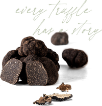 Fresh Autumn Truffle