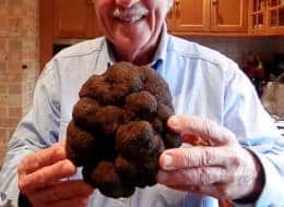 Australia's largest every truffle, weighing 2.5 pounds