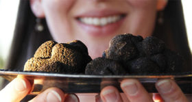 National Geographic: The Trouble with Truffles