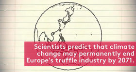 Truffle Production in Europe Threatened By Climate Change